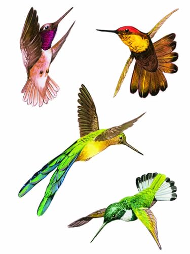 Hummingbirds Stickers (Dover Little Activity Books: Animals)
