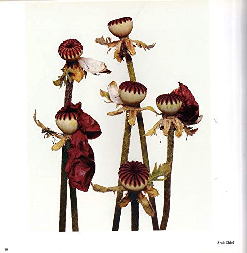 Flowers by Irving Penn (Hardcover)