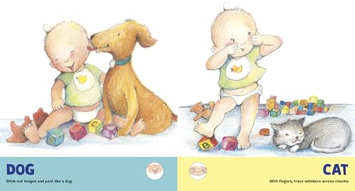 Baby Signs: A Baby-Sized Introduction to Speaking with Sign Language