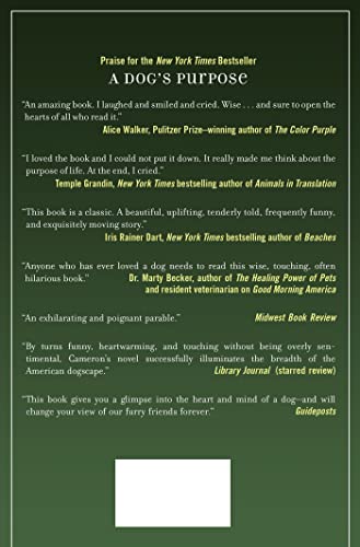 Emory's Gift: A Novel