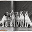 The Dog in Photography / Der Hund In Der Fotografie / Le Chien Dans La Photographie: 1839-today