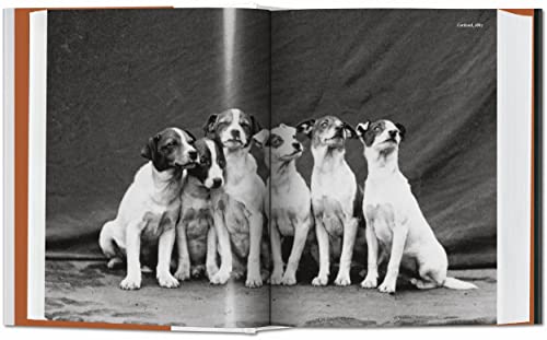 The Dog in Photography / Der Hund In Der Fotografie / Le Chien Dans La Photographie: 1839-today