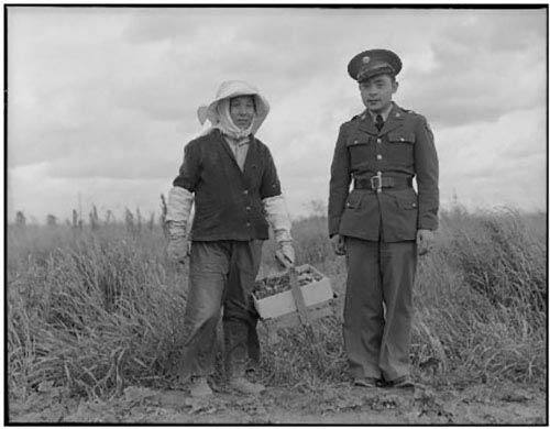 Learning to See: A Novel of Dorothea Lange, the Woman Who Revealed the Real America