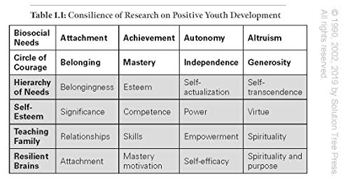 Reclaiming Youth at Risk: Futures of Promise (Reach Alienated Youth and Break the Conflict Cycle Using the Circle of Courage)