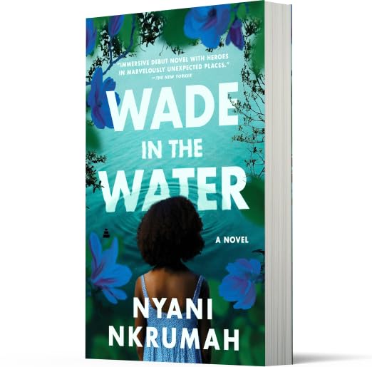 Wade in the Water: A Riveting Coming-of-Age Story of Interracial Friendship and Civil Rights in Mississippi