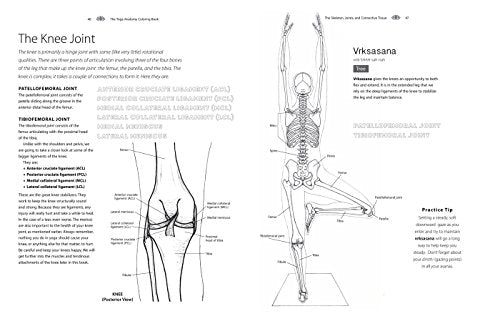 Yoga Anatomy Coloring Book: A Visual Guide to Form, Function, and Movement - An Educational Anatomy Coloring Book for Medical Students, Yoga Enthusiasts, Teachers & Adults (Volume 1)