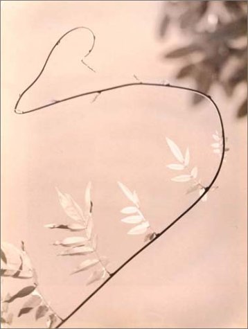 The History of Japanese Photography by Anne Tucker