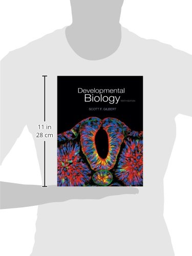 Developmental Biology