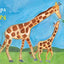 Grandpa Loves Me!: A Sweet Baby Animal Book About a Grandpa's Love (Gifts for Grandchildren or Grandpa)