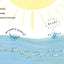 Drop: An Adventure through the Water Cycle (A Science Pals Book)