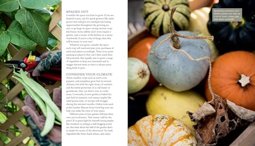 GrowVeg: The Beginner's Guide to Easy Vegetable Gardening