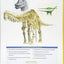The Sauropod Dinosaurs: Life in the Age of Giants