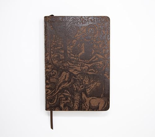 KJV Majestic Illuminated Bible (Brown LeatherLuxe)