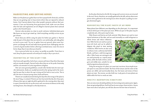 The Modern Herbal Dispensatory: A Medicine-Making Guide