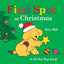Find Spot at Christmas: A Lift-the-Flap Book