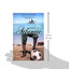 The Belly of the Atlantic by Diome, Fatou