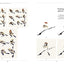 The Beginner's Guide to Chinese Painting: Birds and Insects
