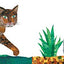 Ha visto a mi gata? (Have You Seen My Cat?) (Spanish-English bilingual edition) (The World of Eric Carle) (Spanish and English Edition)