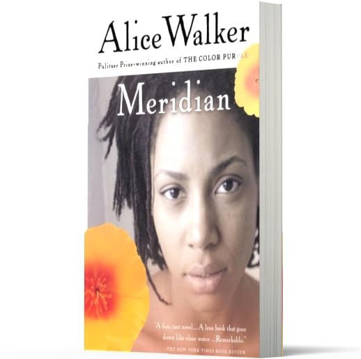Meridian: A Classic Novel of Civil Rights Activism and Feminism in the 1960s American South