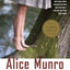 Dear Life: Stories (Vintage International)