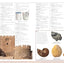 Merriam-Webster Children's Dictionary, New Edition: Features 3,000 Photographs and Illustrations