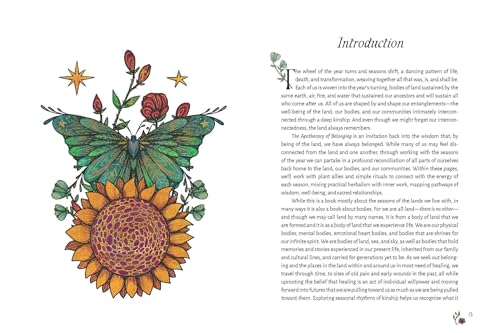 The Apothecary of Belonging: Seasonal Rituals and Practical Herbalism