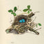 America's Other Audubon