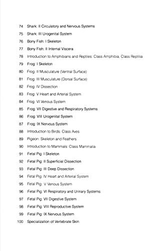 The Zoology Coloring Book