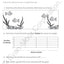 Evan-Moor Daily Higher-Order Thinking, Grade 2, Homeschooling and Classroom Resource Workbook, Brainteasers, Critical Thinking, Problem Solving, Logic Puzzles, Language Play, Drawing