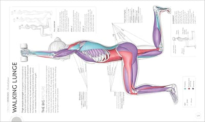 Science of Running: Analyze Your Technique, Prevent Injury
