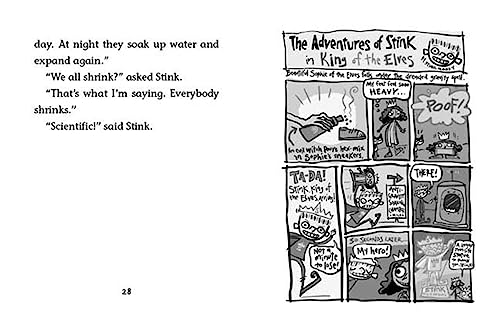 Stink: The Incredible Shrinking Kid