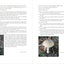 Appalachian Mushrooms: A Field Guide