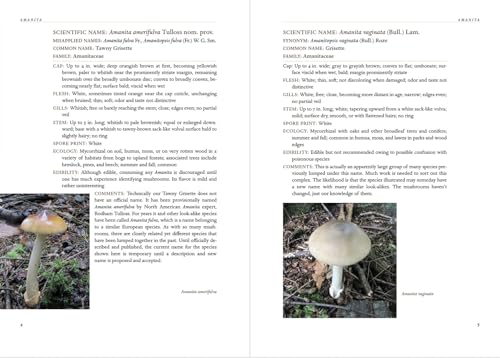 Appalachian Mushrooms: A Field Guide