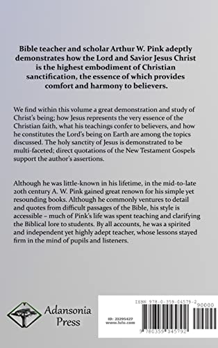 The Doctrine of Sanctification: Discerning real and false notions of Jesus Christ's Holiness (Hardcover)