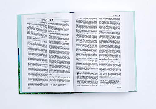 NRSV, Catholic Edition Bible, Paperback, Hillside Scenic: Holy Bible