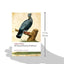 The Natural History of Selborne (Oxford World's Classics)
