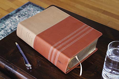 NIV, Biblical Theology Study Bible (Trace the Themes of Scripture), Leathersoft, Tan/Brown, Comfort Print: Follow God’s Redemptive Plan as It Unfolds throughout Scripture
