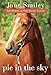 Pie in the Sky: Book Four of the Horses of Oak Valley Ranch