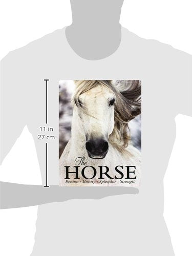 The Horse: Passion, Beauty, Splendor, Strength