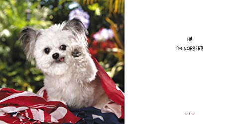 Norbert's Little Lessons for a Big Life