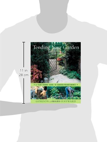 Tending Your Garden: A Year-Round Guide to Garden Maintenance