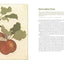 Fruit Trees for Every Garden: An Organic Approach to Growing Apples, Pears, Peaches, Plums, Citrus, and More