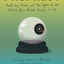 Prophecy: Prediction, Power, and the Fight for the Future, from Ancient Oracles to AI