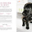 Home Cooking for Your Dog: 75 Holistic Recipes for a Healthier Dog