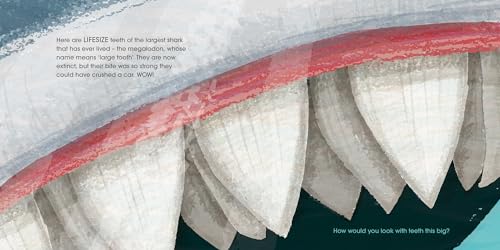 Red Shed Lifesize Ocean Animals.