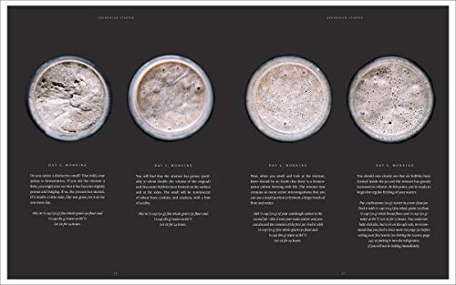 Artisan Sourdough: Wholesome Recipes, Organic Grains by Lugg