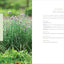 Raised-Bed Gardening for Beginners: Your Guide to Growing Sustainability and Self-Sufficiency