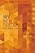 NIV, Outreach New Testament, Large Print, Paperback