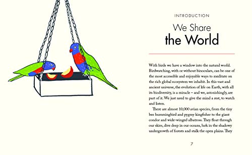 Mindful Thoughts for Birdwatchers: Finding awareness in nature