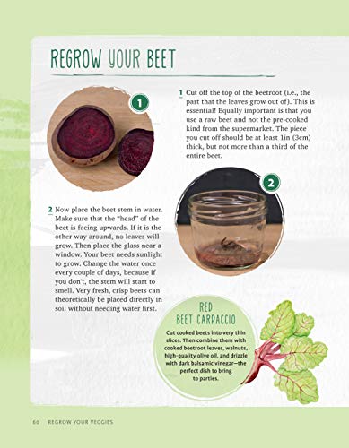 Regrow Your Veggies: Growing Vegetables from Roots, Cuttings, and Scraps (CompanionHouse Books) Sustainable Tips, Troubleshooting, & Directions for Lettuce, Potatoes, Ginger, Scallions, Mango, & More